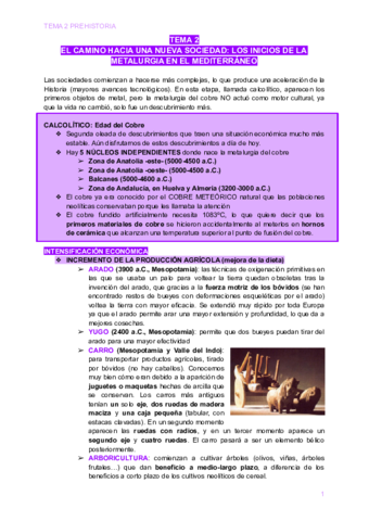 TEMA-2--El-calcolitico-2.pdf