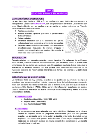 TEMA-8-EDAD-DEL-BRONCE-EN-ANATOLIA.pdf