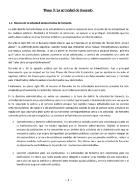 TEMA 3 ADM II.pdf