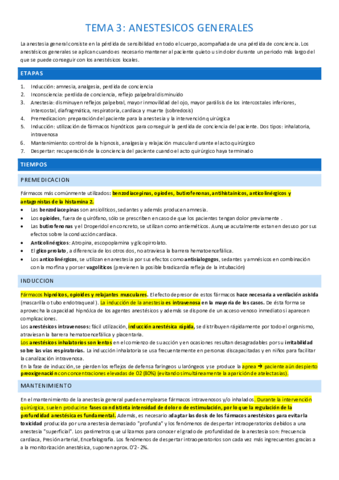 tema-3-completo.pdf
