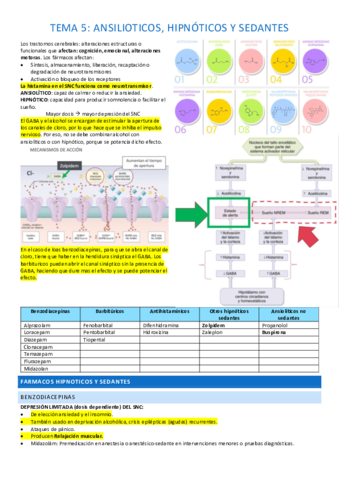 tema-5-completo.pdf