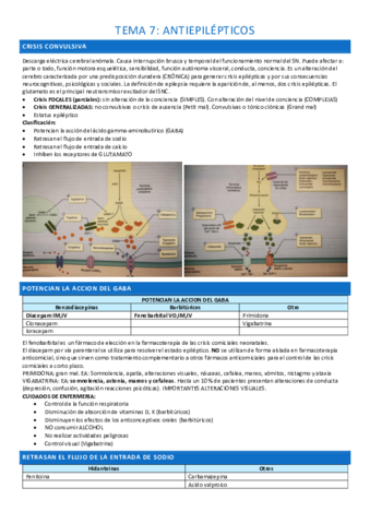 tema-7-completo.pdf