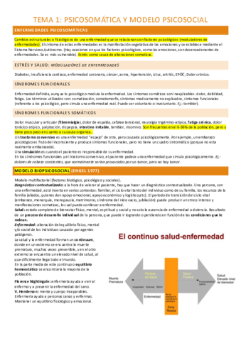 tema-1-completo.pdf