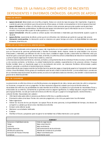 TEMA-19-completo.pdf