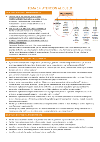 TEMA-14-completo.pdf