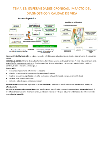 TEMA-12-completo.pdf