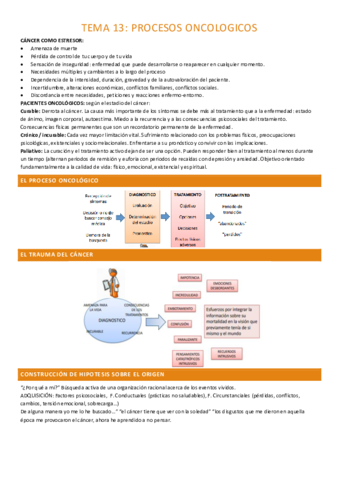 tema-13-completo.pdf