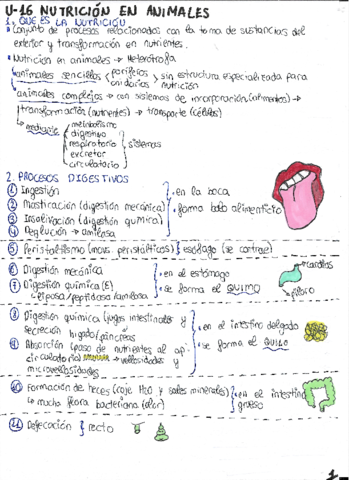 ESQUEMAS-BIOLOGIA-U-4.pdf