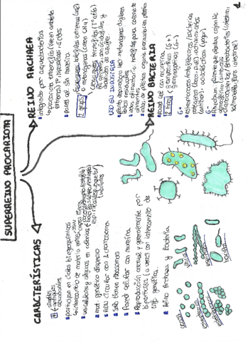 ESQUEMAS-BIOLOGIA-U-3.pdf