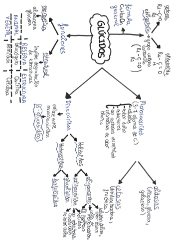 ESQUEMA-GLUCIDOS.jpg