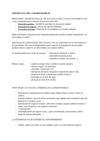 Documento-sin-titulo-2.pdf