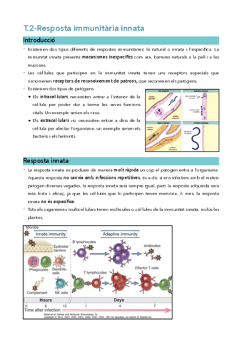 Immuno-TOT-el-temari-Azucena.pdf