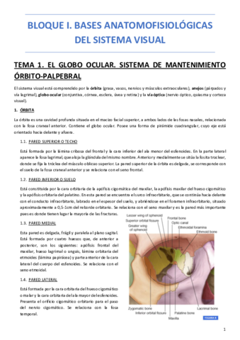 BLOQUE-I-BASES-ANATOMOFISIOLOGICAS-DEL-SISTEMA-VISUAL.pdf