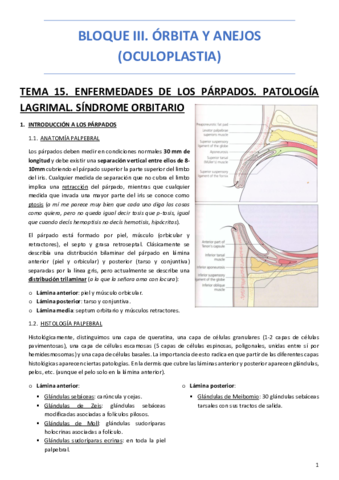 BLOQUE-III-ORBITA-Y-ANEJOS-OCULOPLASTIA.pdf