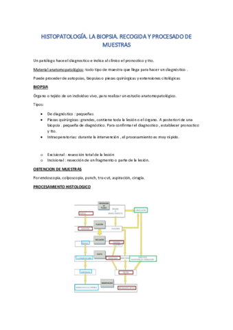 anatopato-tema-1.pdf