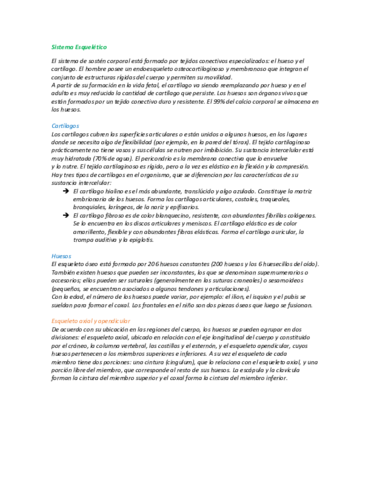 Sistema-Esqueletico.pdf