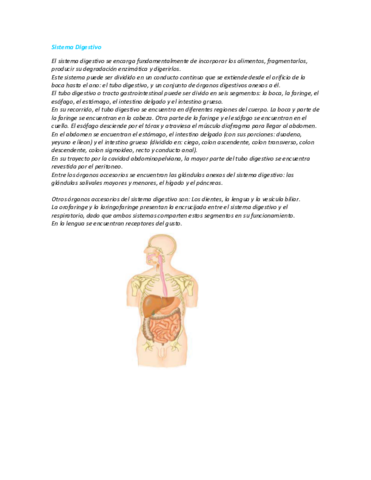Sistema-Digestivo-generalidades.pdf