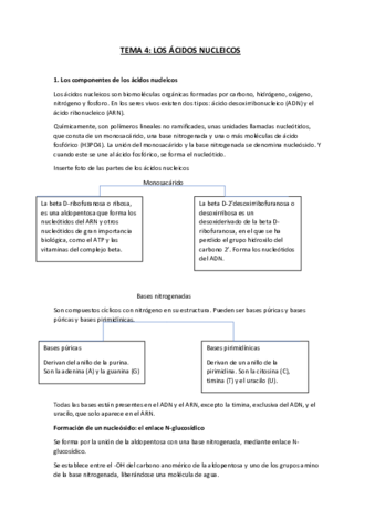 T4.pdf