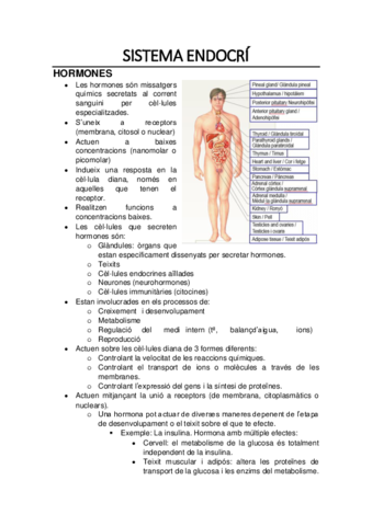 Fisiologia-Endocri.pdf