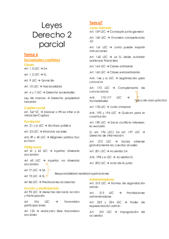 Leyes-2Exam.pdf