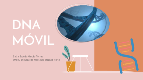 DNA-movil.pdf