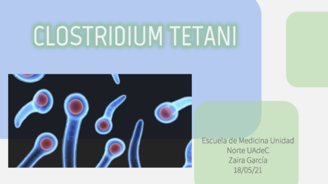 Clostridium-Tetani.pdf