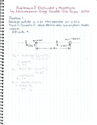 PROBLEMARIO-CARGAS-PUNTUALES.pdf