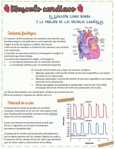 Musculo-cardiaco.pdf