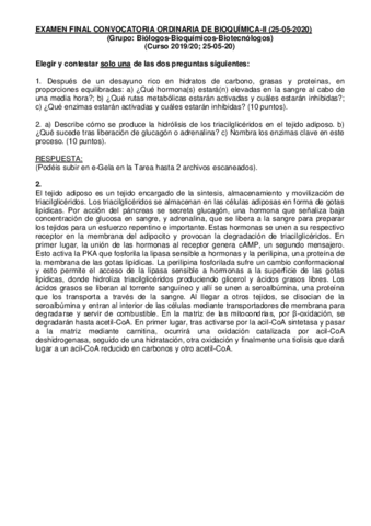 Examen-Final-Conv.pdf