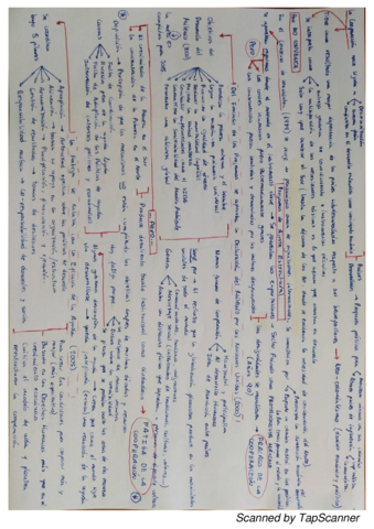 Esquema-Cooperacion-hasta-Milenio-2015.pdf