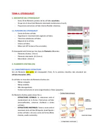 BIOCEL-2n-parcial.pdf