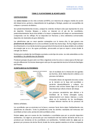 TEMA-2.pdf