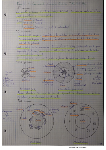 T13.pdf