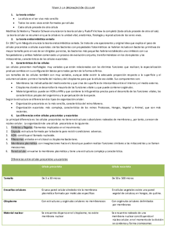 T2-organizacion-celular.pdf
