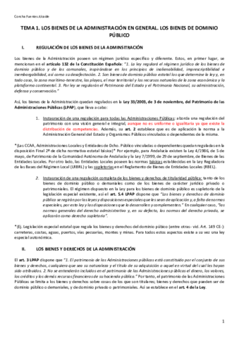 TEMA-1-mis-apuntes.pdf