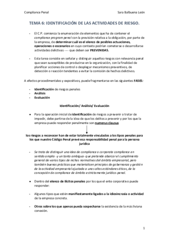 TEMA-6-compliaance-penal.pdf