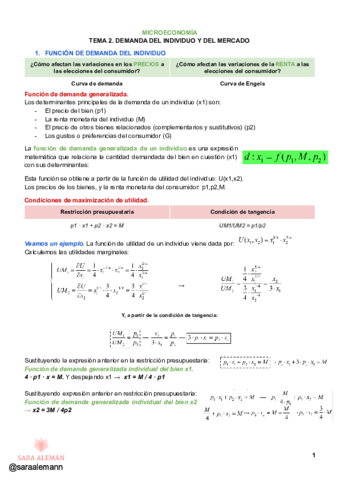 MICRO-TEMA-2.pdf