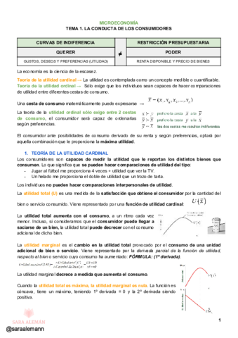 MICRO-TEMA-1.pdf
