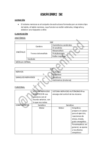 RESUMEN-NEURO-FINAL.pdf