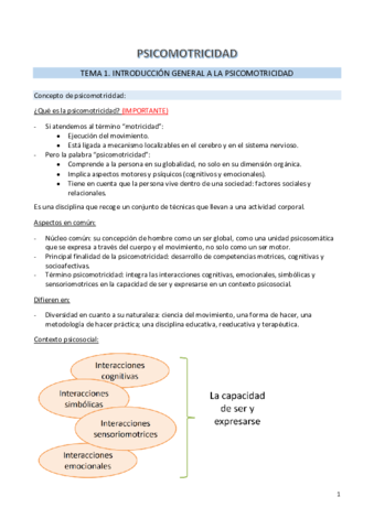Psicomotricidad-completo-curso-21-22.pdf