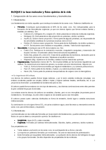 Bloque-I-.pdf