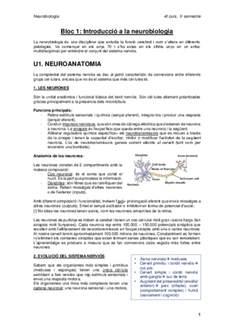 IMPRIMIR-PARCIAL-NEURO.pdf