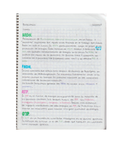 DEFINICIONES-DE-MOLECULAS-METABOLICAS.pdf