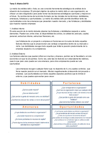 Tema-5-Matriz-DAFO-CAME-y-PEYEA.pdf