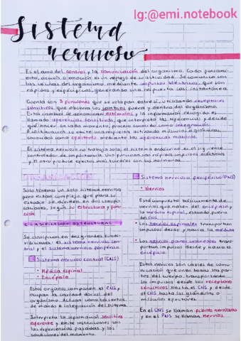 Sistema-Nervioso.pdf