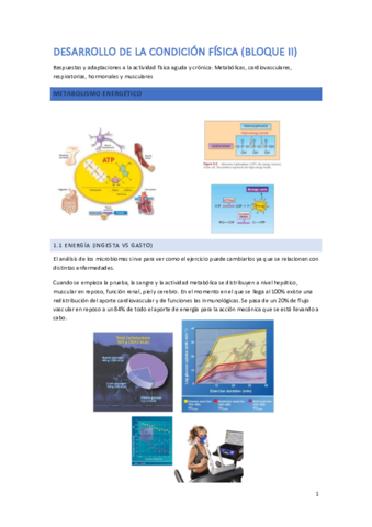 DESARROLLO-DE-LA-CONDICION-FISICA.pdf