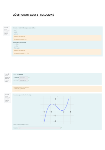 QUESTIONARI-GUIA-1.pdf