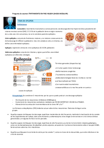 epilepsia.pdf