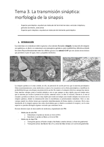 Tema-3.pdf