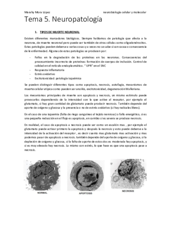 Tema-5.pdf